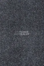 Ковролин AW Parana 97 фото 1 | FLOORDEALER