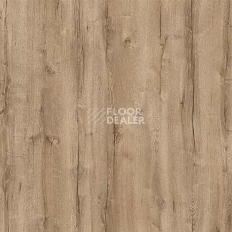Ламинат My Step Arto 10мм Дуб Мальтус D3282 фото 1 | FLOORDEALER