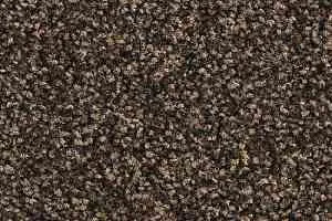 Ковролин Balsan Script 790 фото  | FLOORDEALER