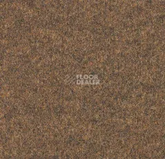 Ковролин Forbo Akzent 10714 фото 1 | FLOORDEALER