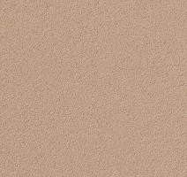 Линолеум Forbo Marmoleum Bulletin Board 2186 blanched almond фото 1 | FLOORDEALER