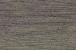 Линолеум Taraflex Multi-Use 6.2 Wood 8840_Wood_Black фото  | FLOORDEALER