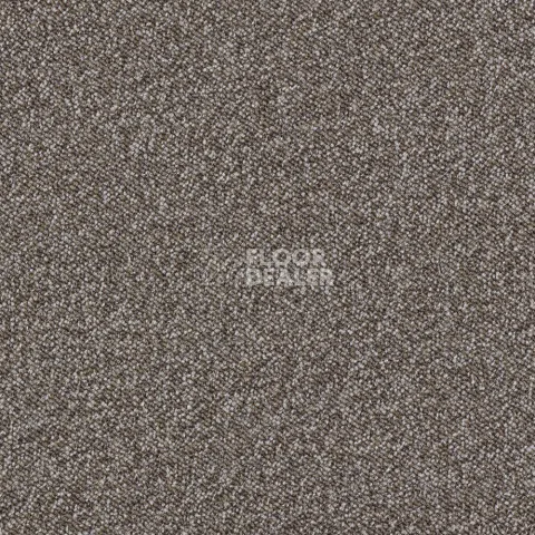 Ковролин Associated Weavers Maxima 40 фото 1 | FLOORDEALER