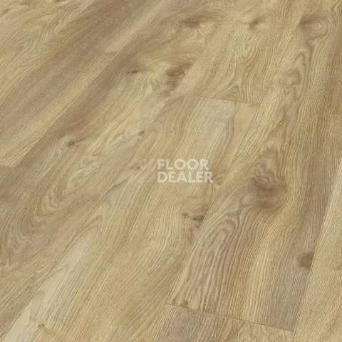 Ламинат Kronotex Mammut d4794 Дуб Натуральный Макро фото 1 | FLOORDEALER