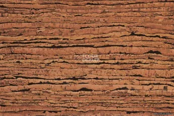 Natural Cork Tigre фото 2 | FLOORDEALER