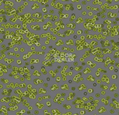 Ковролин Forbo Flotex Sottsass Bacteria 990302 фото 1 | FLOORDEALER