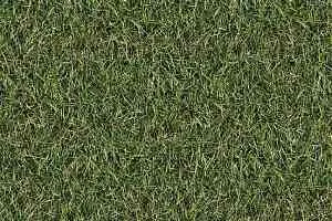 Ковролин Halbmond Pure Elements 13835 фото  | FLOORDEALER