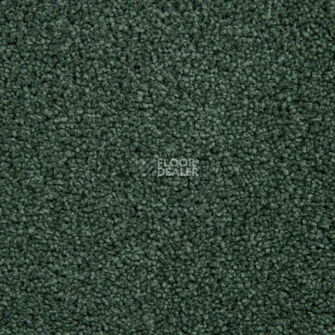 Haima Noble 71 фото 9 | FLOORDEALER