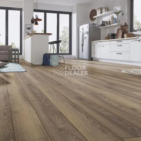 Kronotex Mammut d4726 Дуб Горный Коричневый фото 4 | FLOORDEALER