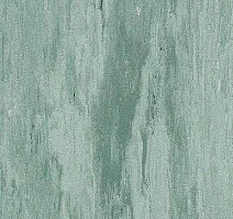 Линолеум Mipolam Robust El7 0306 фото 1 | FLOORDEALER