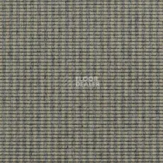 Ковролин Carpet Concept Goi 3 270105 фото 1 | FLOORDEALER