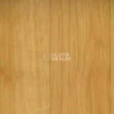 Линолеум Graboflex Gymfit Wood 60 2519-371-279 фото 1 | FLOORDEALER