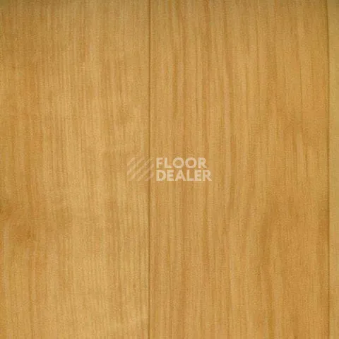 Линолеум Graboflex Gymfit Wood 60 2519-371-279 фото 1 | FLOORDEALER