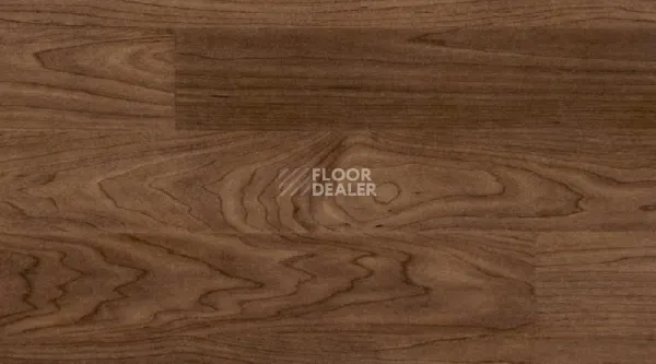 Линолеум Taraflex Multi-Use 6.2 Wood 8069_Wood_Chocolate фото 1 | FLOORDEALER