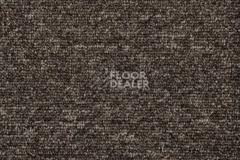 AW Medusa / Медуза 43 фото 2 | FLOORDEALER
