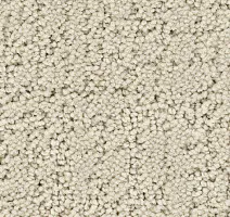 Ковролин Balsan Rialto 605 фото 1 | FLOORDEALER