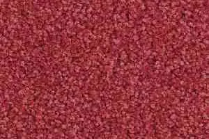 Ковролин Balsan Script 570 фото  | FLOORDEALER