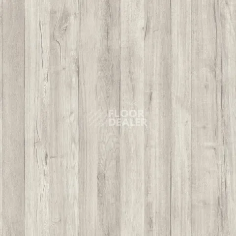 Линолеум Tarkett Loft RENE 1 фото 1 | FLOORDEALER