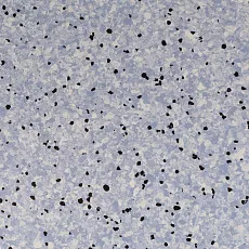 Линолеум Standard Conductive 804 Lake фото 1 | FLOORDEALER