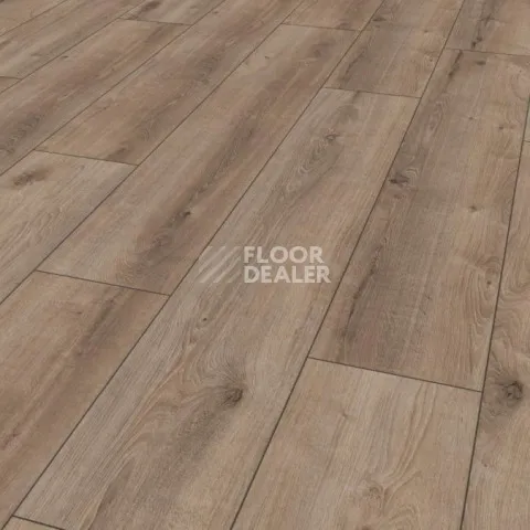 Kronotex Exquisit Plus d6020 Дуб Кашмир Титан фото 7 | FLOORDEALER