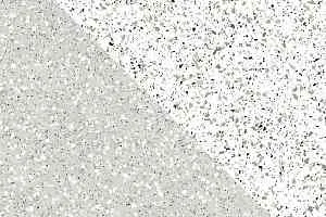 Керамогранит Cosmos Керамогранит 60x60x10 cm 01 60x60x10 Непол.Рект. (Керамический гранит) фото  | FLOORDEALER