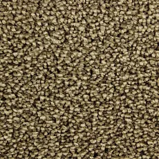 Ковролин Edel Wild Romance 144 фото 1 | FLOORDEALER