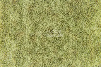 Forbo Flotex Colour s 445027 Canyon Kelp фото 3 | FLOORDEALER