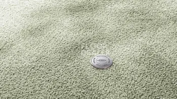 Ковролин Vorwerk Superior 1067 Mira Vorwerk 4g82 фото 1 | FLOORDEALER