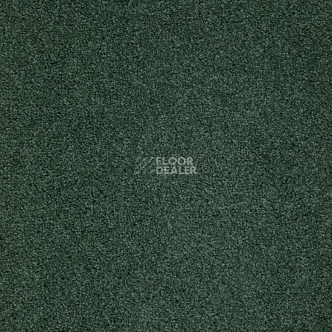 Haima Noble 71 фото 8 | FLOORDEALER