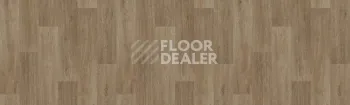 Линолеум Tarkett Status LEON3 фото 1 | FLOORDEALER
