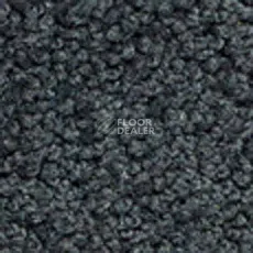 Ковролин Girloon Body1 561 фото 1 | FLOORDEALER