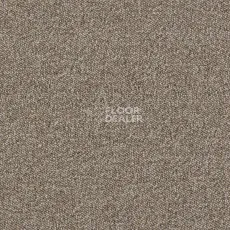 Ковролин Associated Weavers Maxima 37 фото 1 | FLOORDEALER