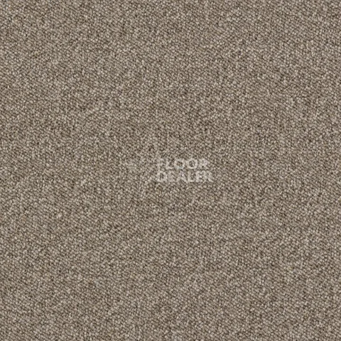 Ковролин Associated Weavers Maxima 37 фото 1 | FLOORDEALER