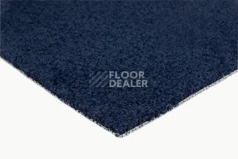 Innova Фризе 7079 фото 5 | FLOORDEALER