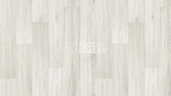 Линолеум Tarkett Club Jane 4 фото 1 | FLOORDEALER