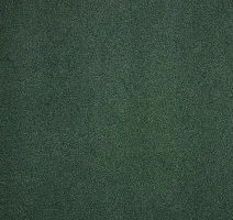 Ковролин Haima Noble 71 фото 1 | FLOORDEALER