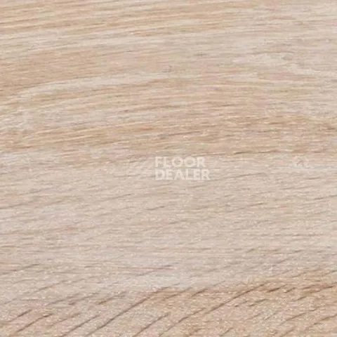 Пробковое покрытие Wood Xl замковое Oak Gekalte New фото 1 | FLOORDEALER