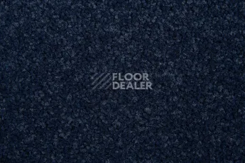 Innova Фризе 7079 фото 3 | FLOORDEALER