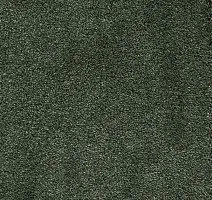 Ковролин AW Masquerade Fedone 24 фото 1 | FLOORDEALER