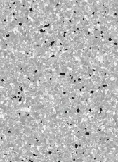 Vertigo Barnett VBS3 13 фото 1 | FLOORDEALER