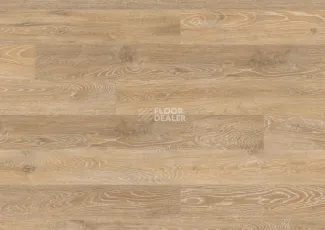 Terhurne Grand Line 1482  Дуб Пастельно - Бежевый  1101021577 фото 3 | FLOORDEALER