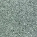 Ковролин Radici Montecarlo 65  | FLOORDEALER