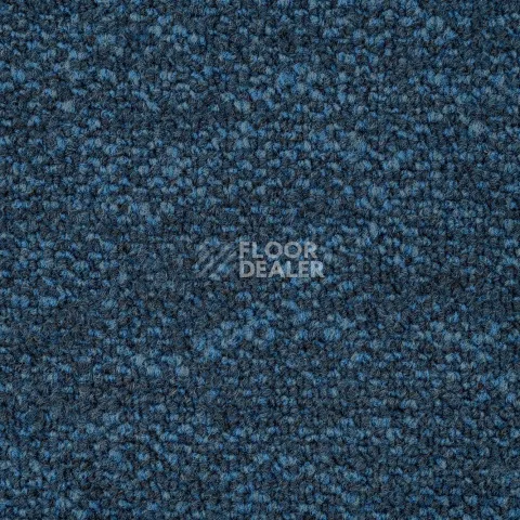 Haima Coral 23 фото 2 | FLOORDEALER