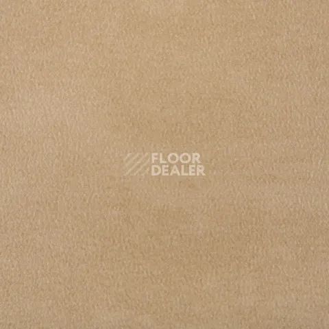 Forbo Emerald Standart 72414 фото 2 | FLOORDEALER