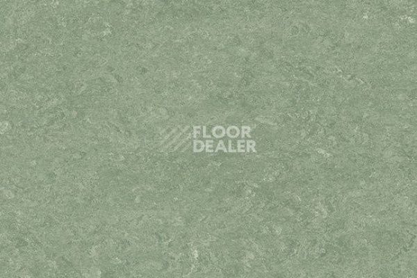 Линолеум Marmorette DLW 0043 Leaf Green фото 1 | FLOORDEALER